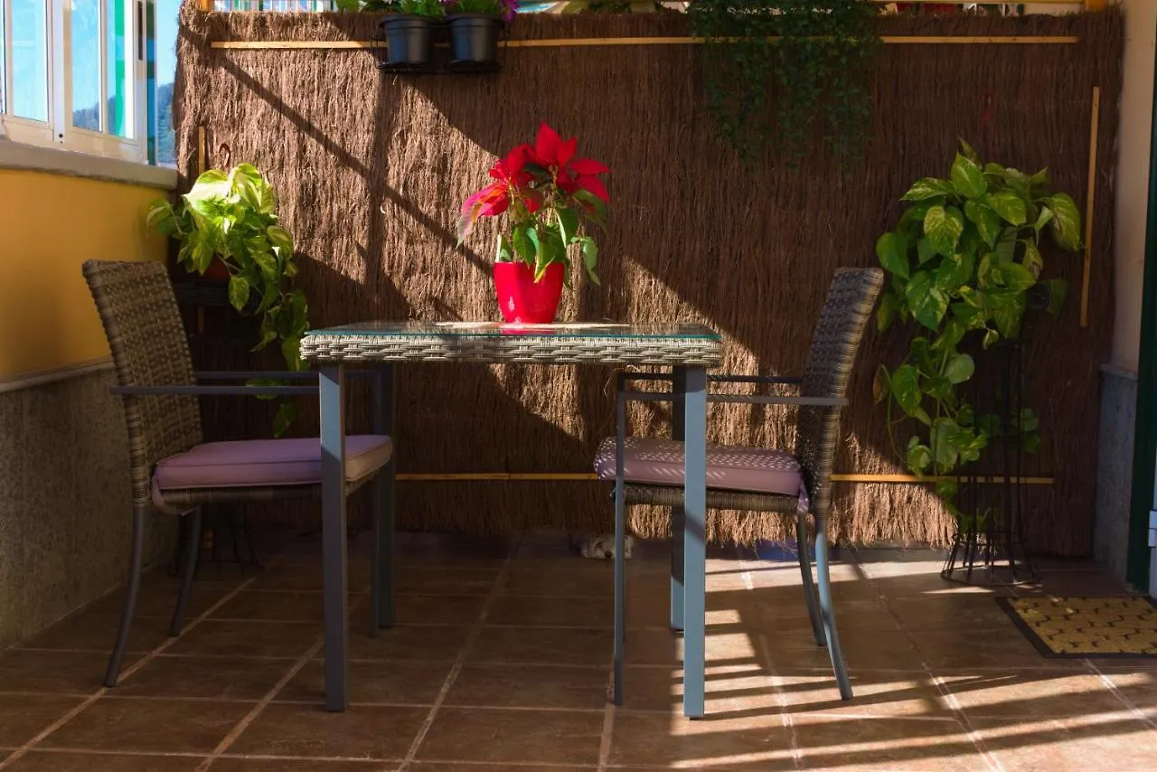 Lujoso y moderno dúplex con fantástica terraza La Laguna  Apartamento