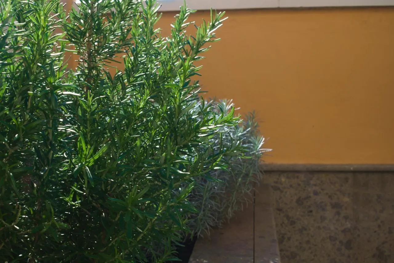 Lujoso Y Moderno Duplex Con Fantastica Terraza Apartment La Laguna  Spain